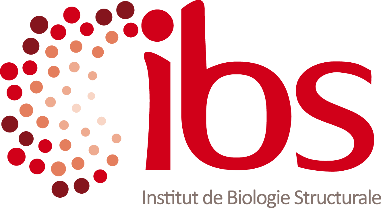 Logo de l'entreprise